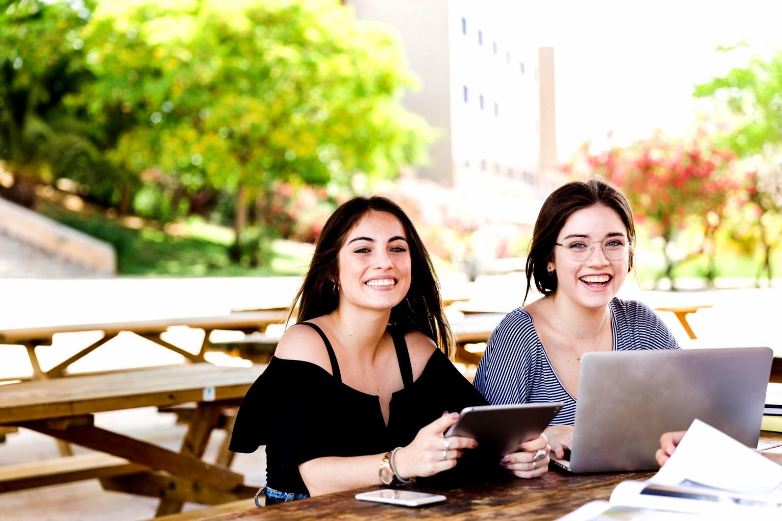 SEO optimization dashboard showing real performance metrics